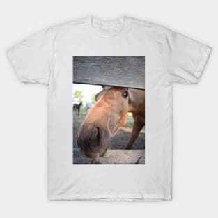 TB COLT T-Shirt